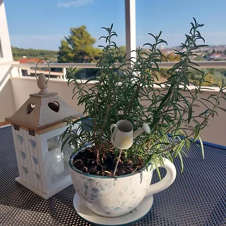 Apartment Split View 2 Bedrooms Luxury 90 M2 *